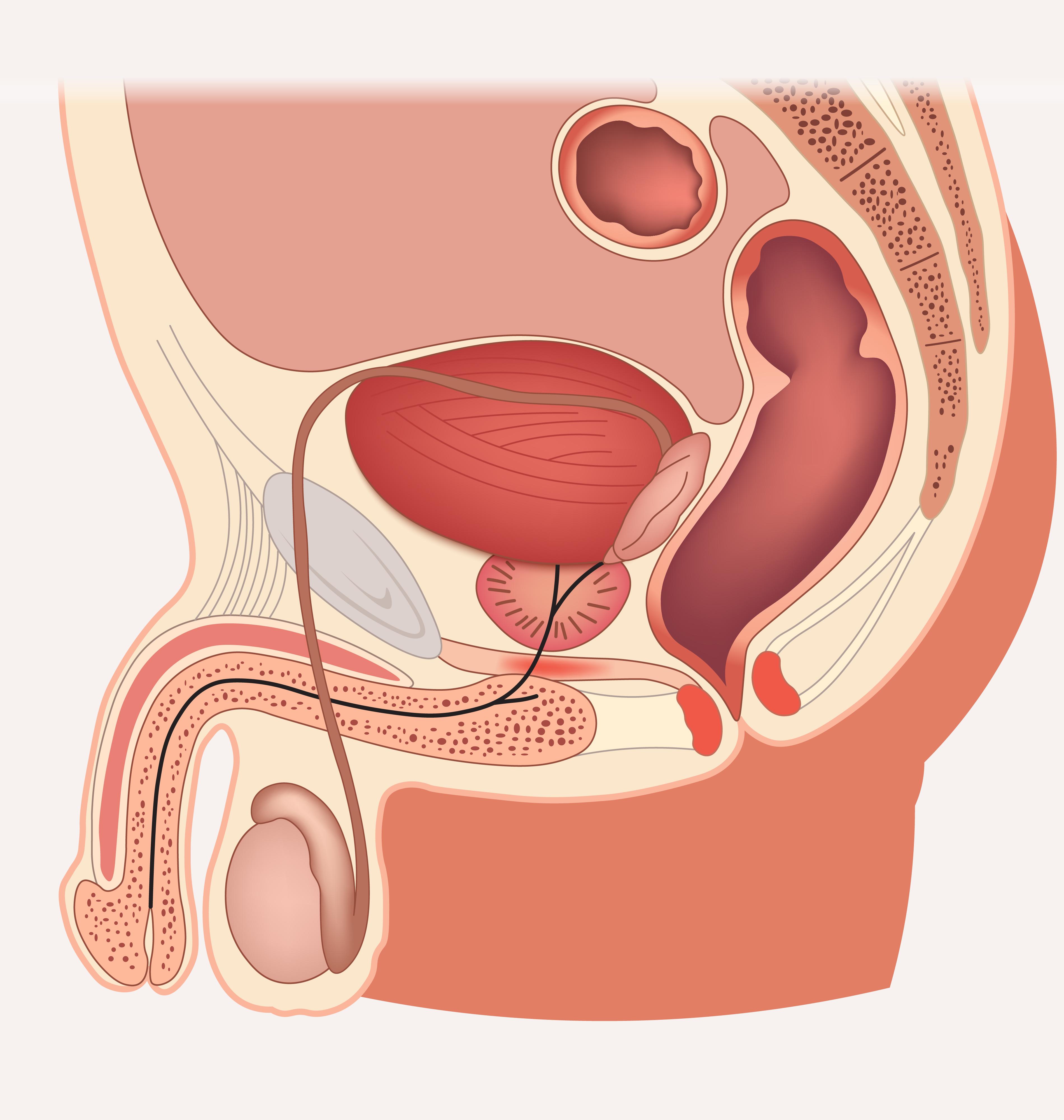 Serivce Image