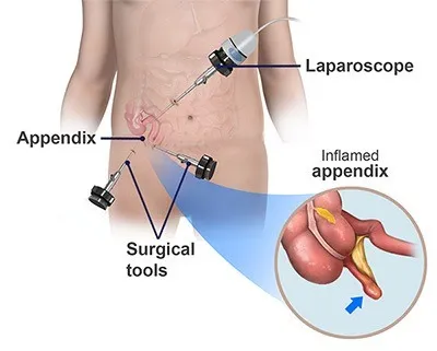 Serivce Image